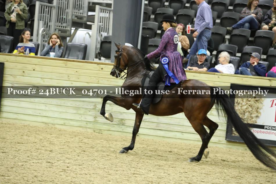 Proof 24BUCK_04701