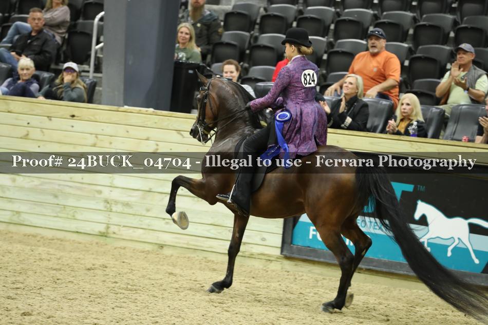 Proof 24BUCK_04704