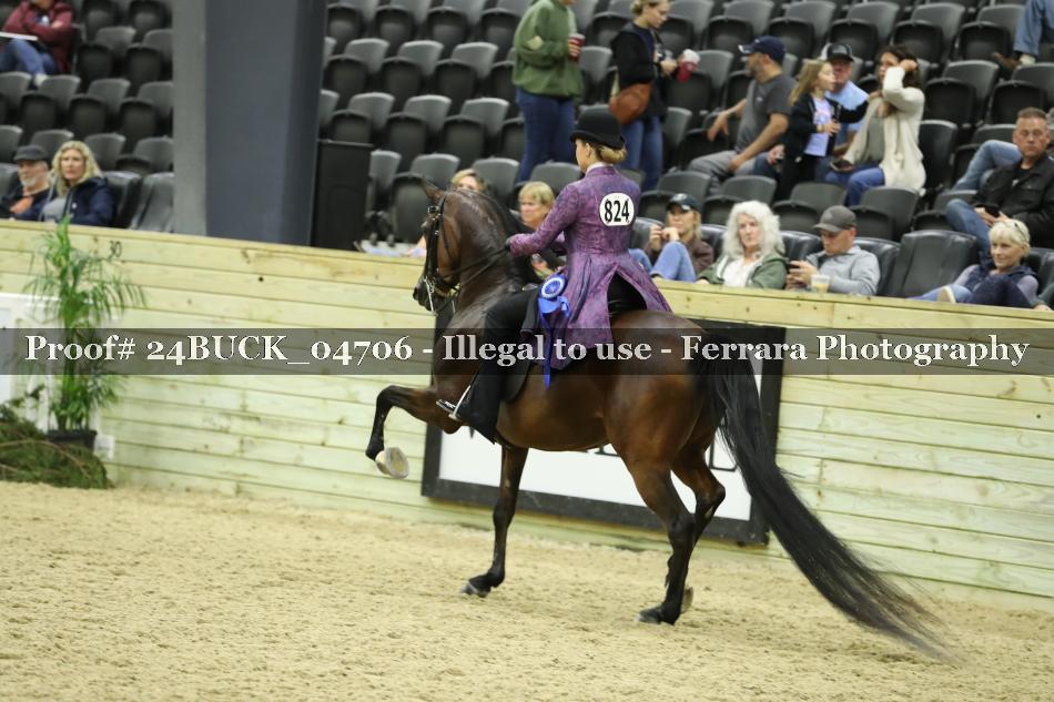 Proof 24BUCK_04706