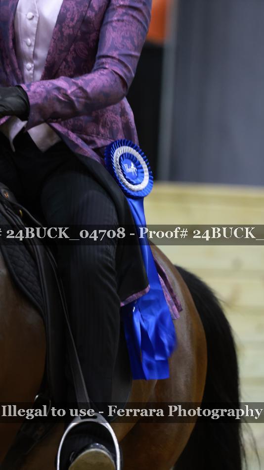 Proof 24BUCK_04708