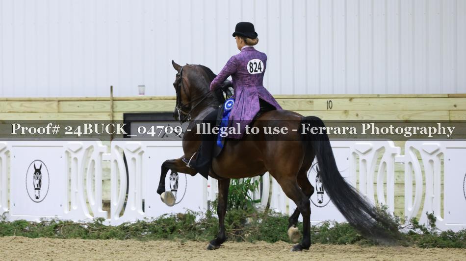 Proof 24BUCK_04709