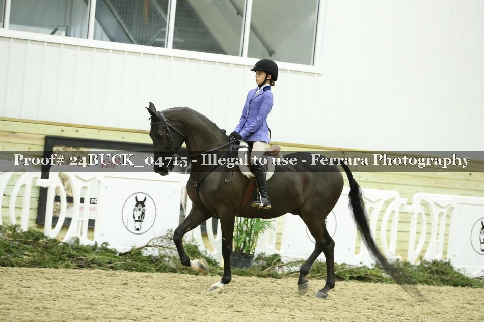 Proof 24BUCK_04715