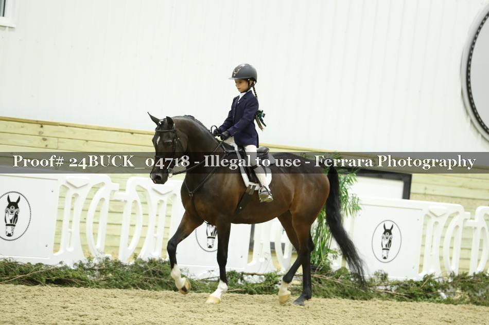 Proof 24BUCK_04718