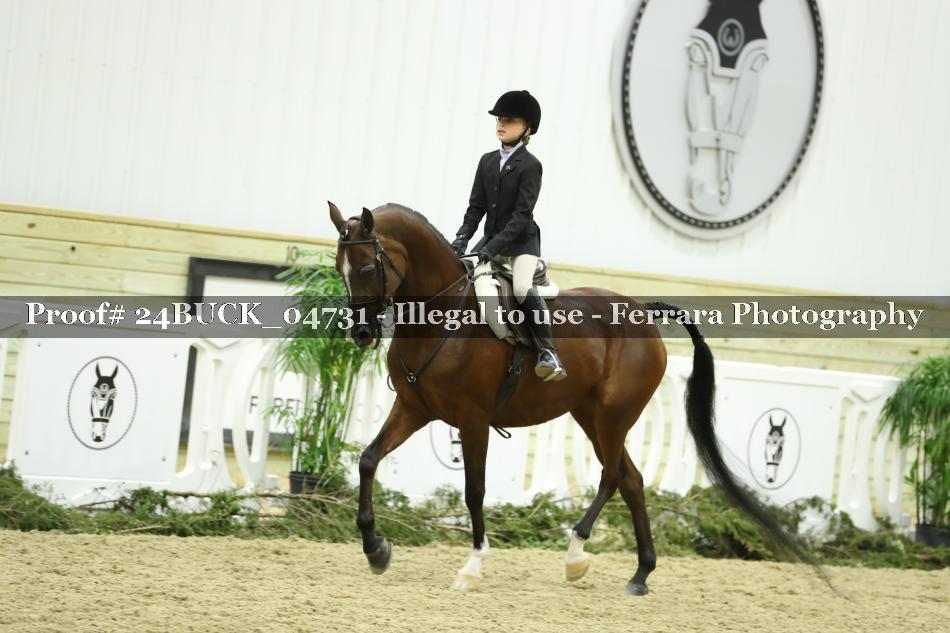 Proof 24BUCK_04731