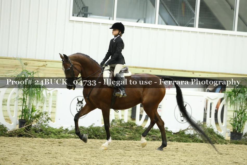 Proof 24BUCK_04733