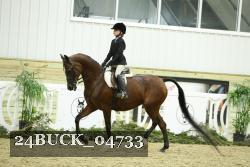 24BUCK_04733 proof
