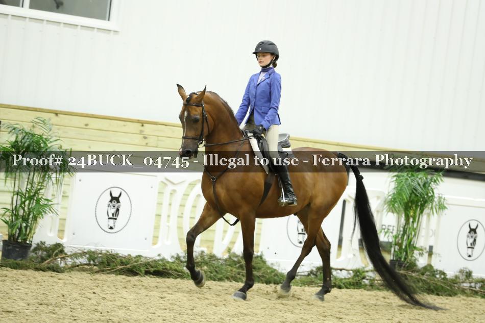 Proof 24BUCK_04745