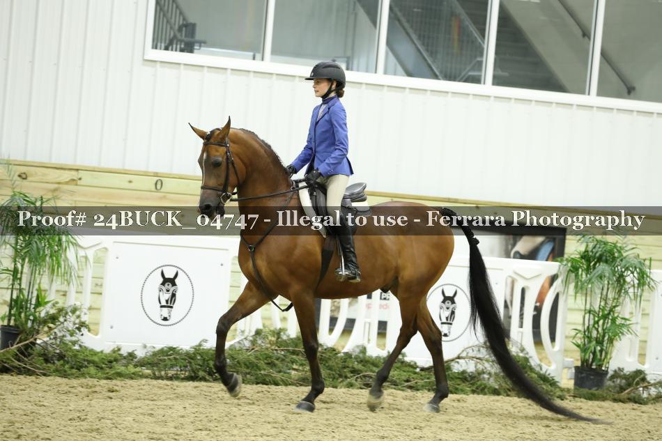 Proof 24BUCK_04747