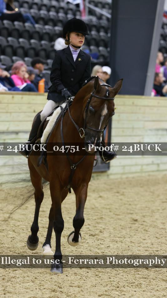 Proof 24BUCK_04751