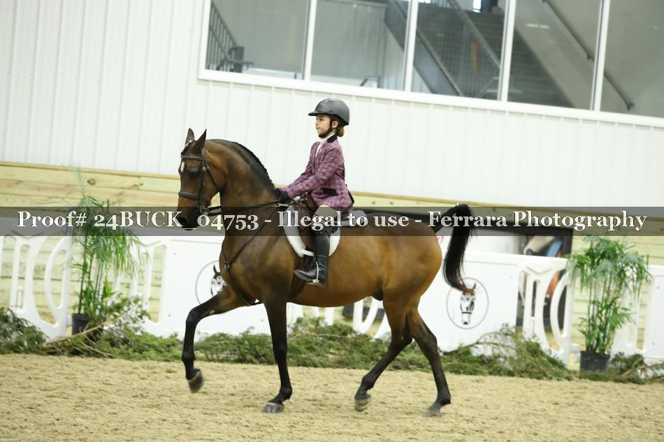 Proof 24BUCK_04753