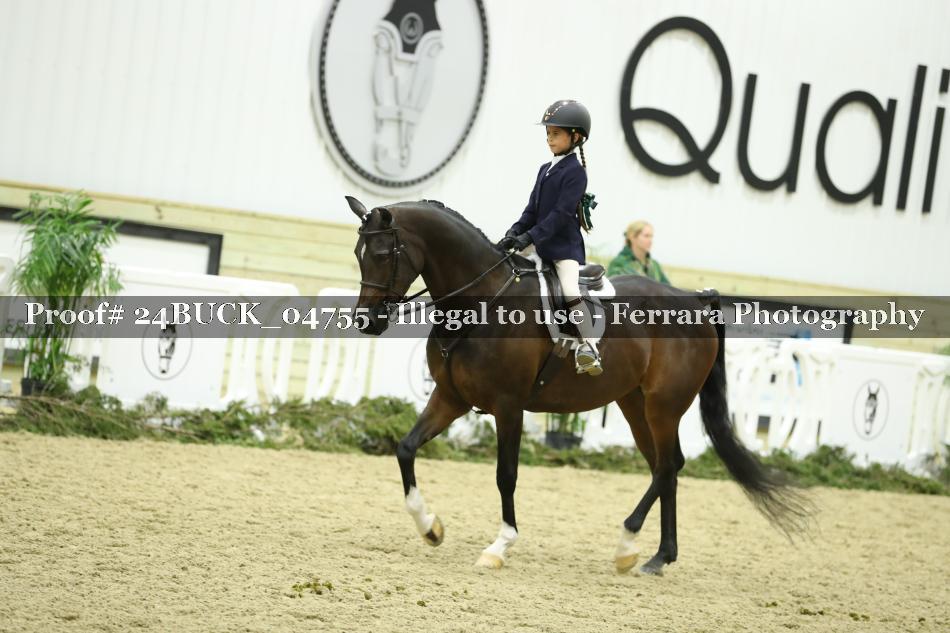 Proof 24BUCK_04755