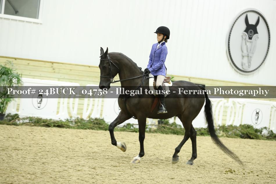 Proof 24BUCK_04758