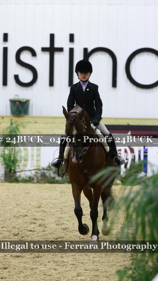 Proof 24BUCK_04761