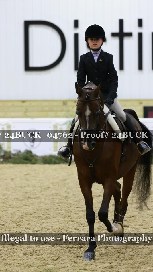 Proof 24BUCK_04762