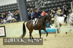 24BUCK_04767 proof