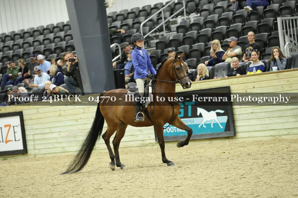 Proof 24BUCK_04770