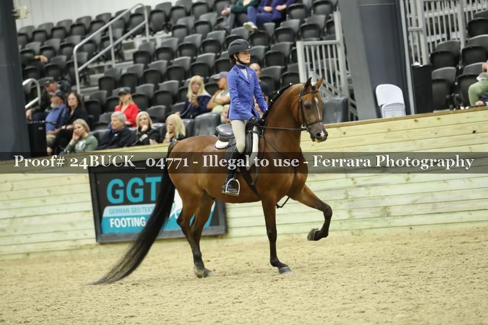 Proof 24BUCK_04771