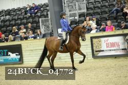 24BUCK_04772 proof