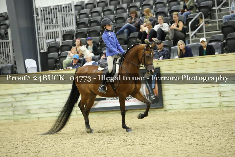 Proof 24BUCK_04773