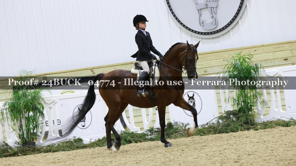 Proof 24BUCK_04774