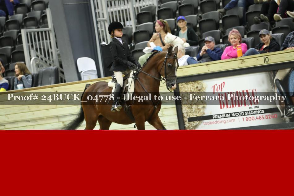 Proof 24BUCK_04778