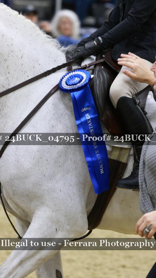 Proof 24BUCK_04795
