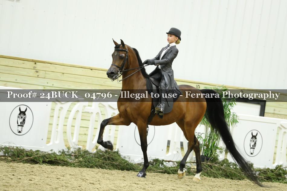 Proof 24BUCK_04796