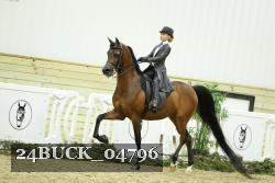 24BUCK_04796 proof