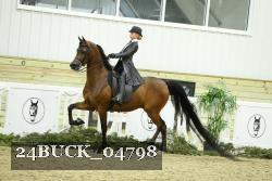 24BUCK_04798 proof