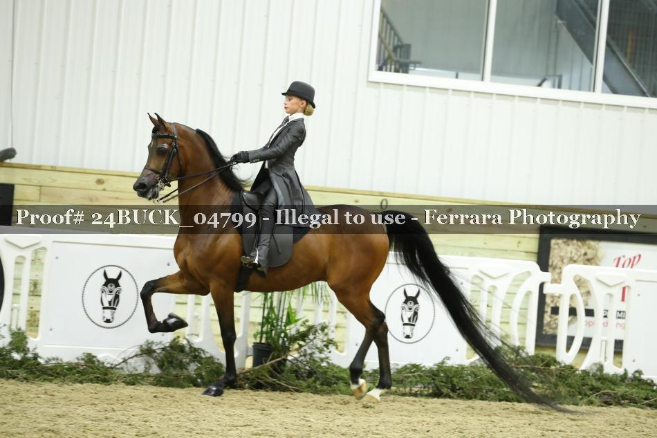 Proof 24BUCK_04799