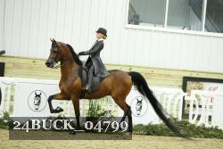 24BUCK_04799 proof