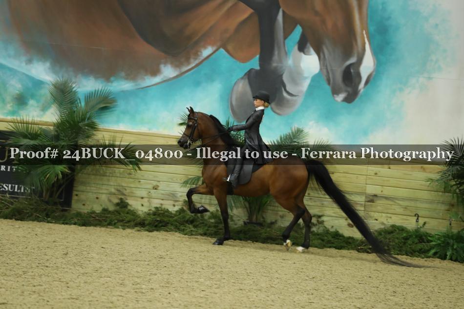 Proof 24BUCK_04800