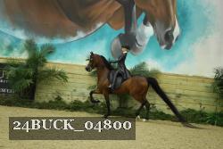 24BUCK_04800 proof