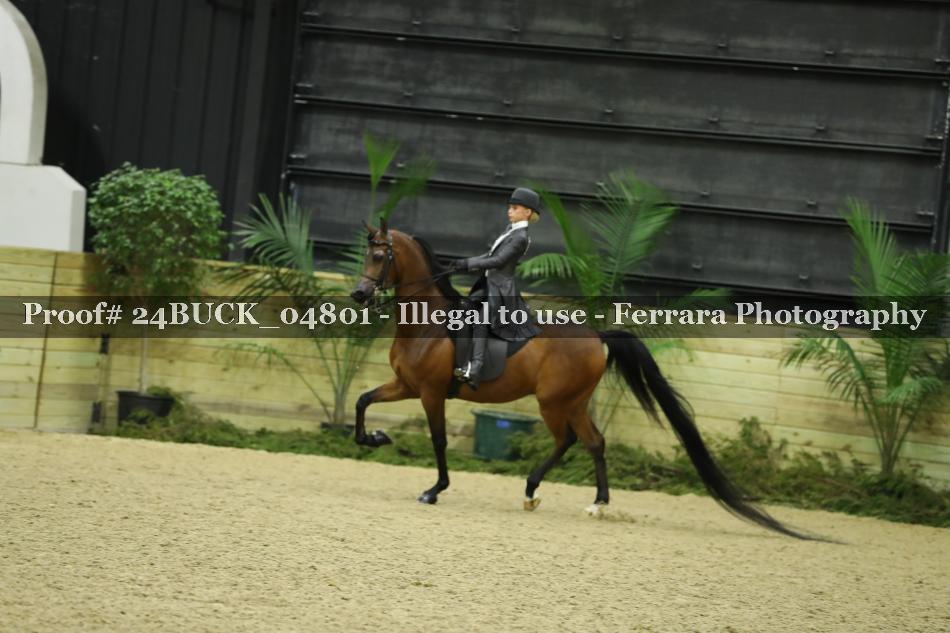 Proof 24BUCK_04801
