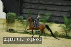 24BUCK_04801 proof
