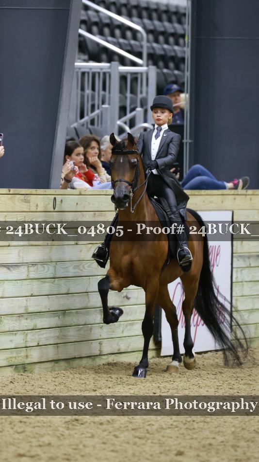 Proof 24BUCK_04805