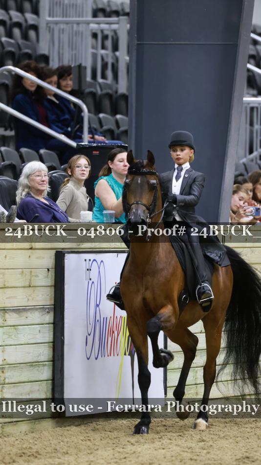 Proof 24BUCK_04806