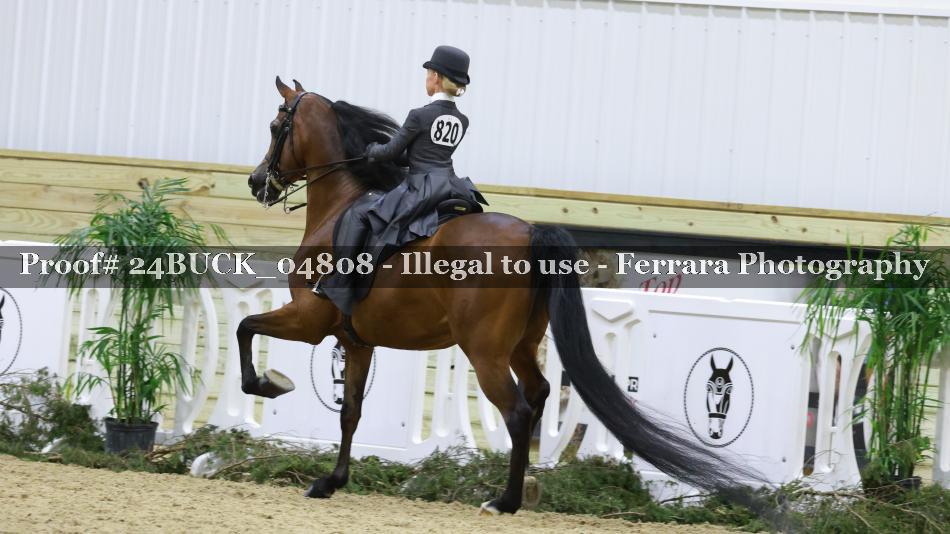 Proof 24BUCK_04808