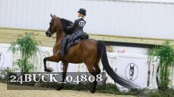 24BUCK_04808 proof