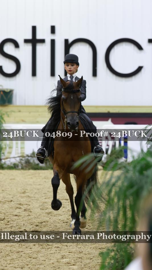 Proof 24BUCK_04809