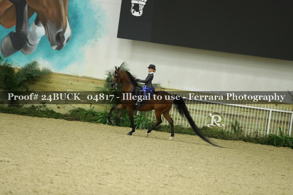 Proof 24BUCK_04817