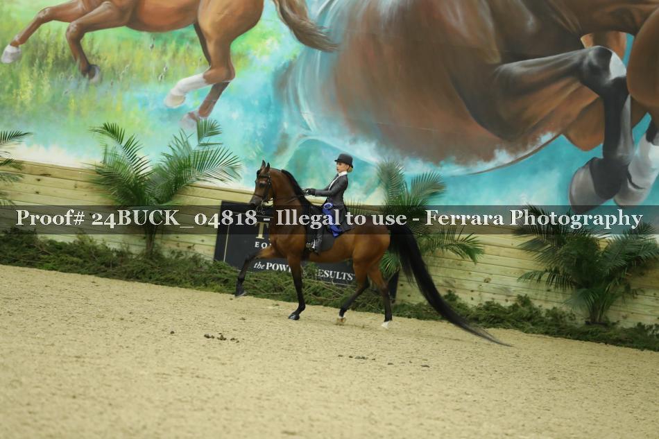 Proof 24BUCK_04818