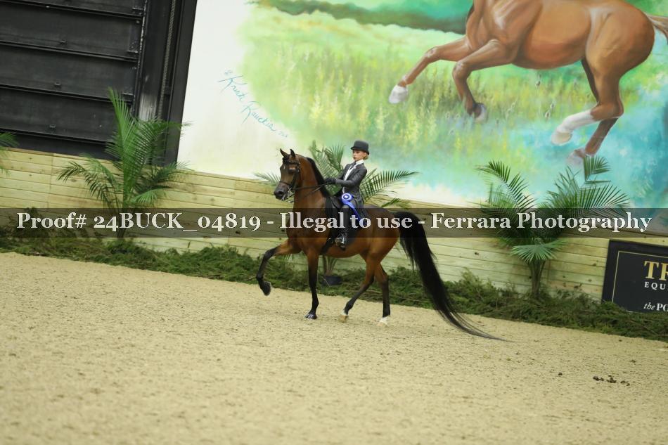 Proof 24BUCK_04819