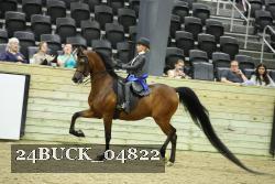24BUCK_04822 proof