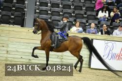 24BUCK_04824 proof