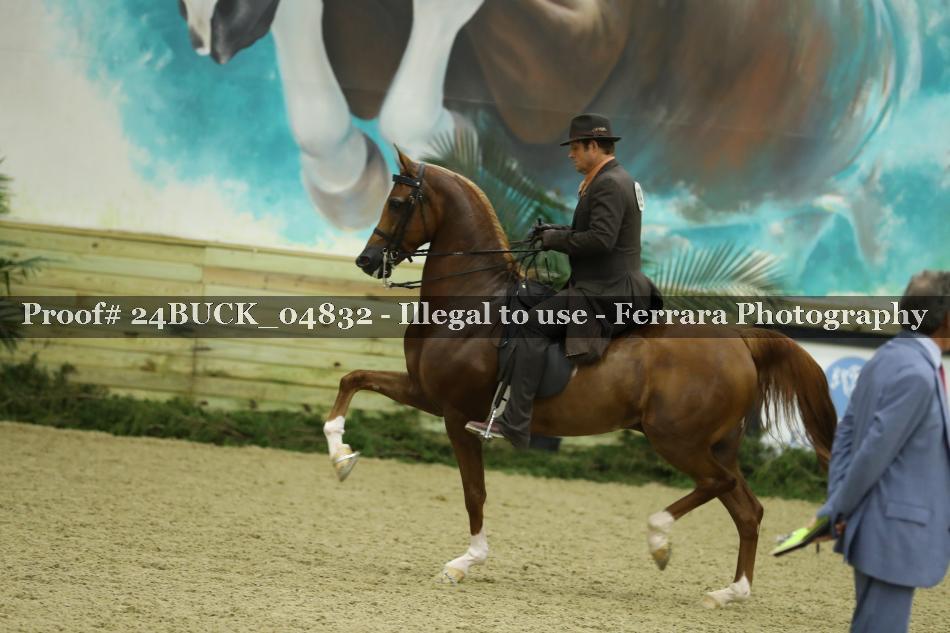 Proof 24BUCK_04832