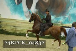 24BUCK_04832 proof