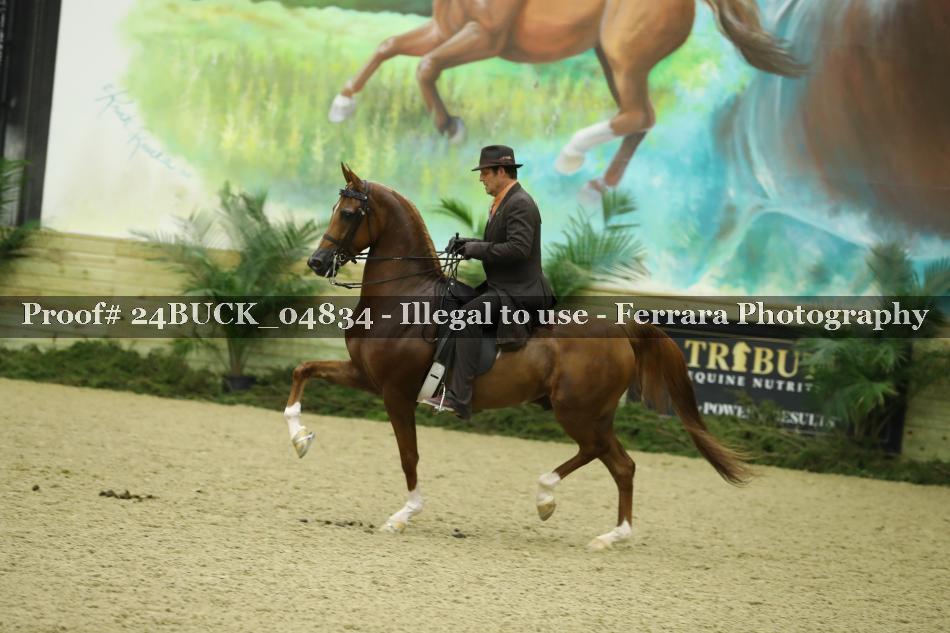 Proof 24BUCK_04834