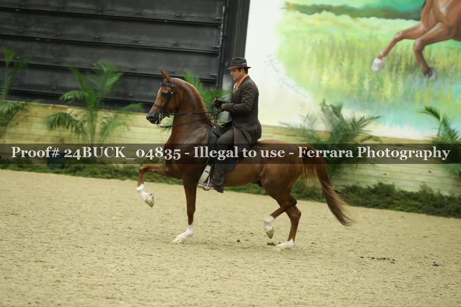 Proof 24BUCK_04835