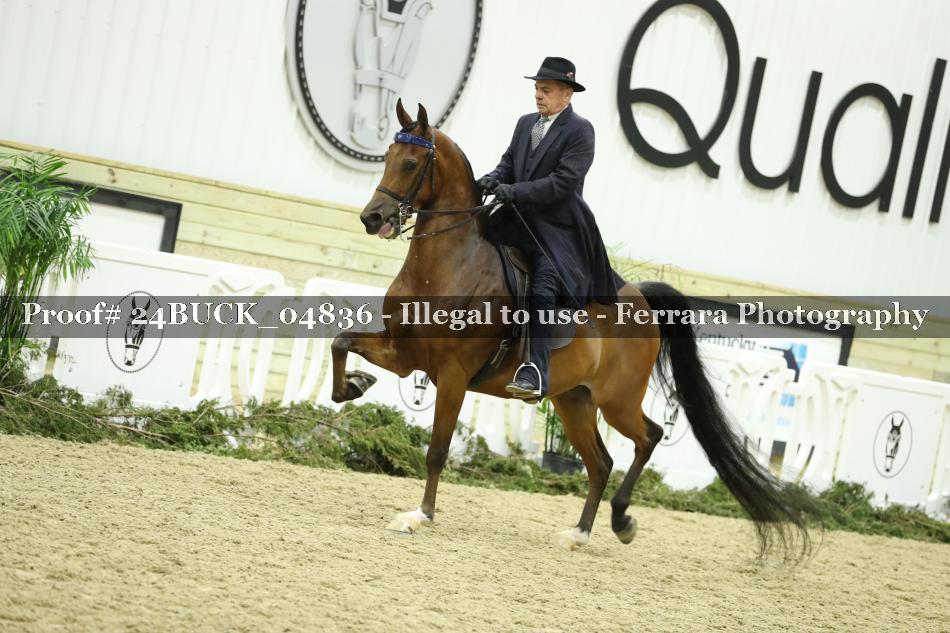 Proof 24BUCK_04836